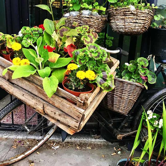 flores bici deco