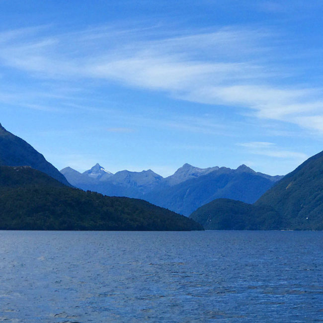 paisajes doubtful sound nz tapenade food & creativity